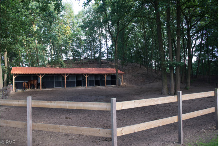 Overnachten met je paard op Sandberghe in de Maashorst VMP136